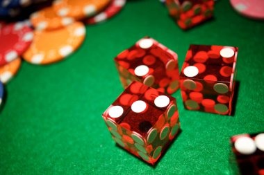 dumba ড্যাশবোর্ড ও খেলার তথ্য ভিউ